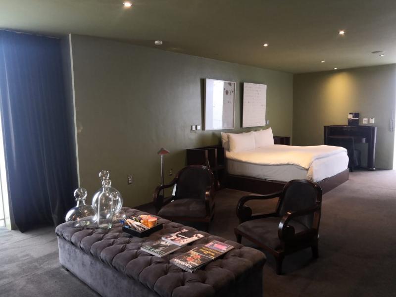 Demetria Hotel Guadalajara Eksteriør bilde